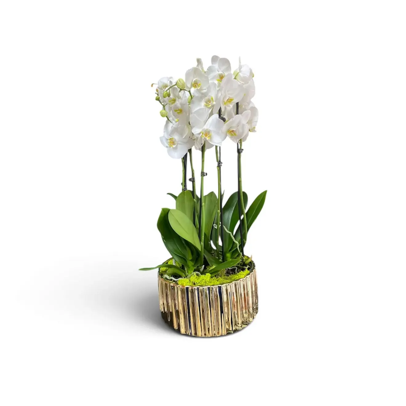 Eleganță Regală – Aranjament Premium cu 3 Orhidee în Vas Ceramic Auriu